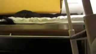 CityNightLine Train Deluxe Sleeper Car