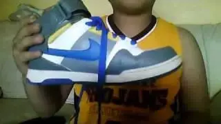 Nike 6.0 Shoe