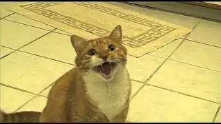 sdfsdfsdf