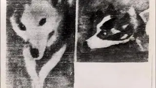 The First Space Selfie Ever Taken - 5 First Space Photos - Space Documentary