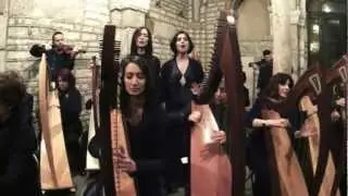 Game of Thrones -  Celtic Harp Orchestra