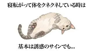 猫に関する豆知識2