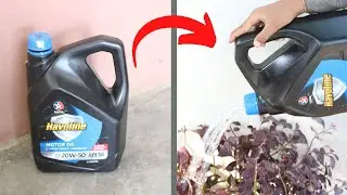 The Ultimate DIY Water Bottle System For Every Gardener | DIY Water Shower For Plants