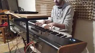 Mushanga - Toto, short keyboard cover