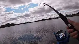 Pike love a finesse worm #fishing #pike #shorts