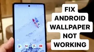 How To FIX Android Wallpaper Not Working/Displaying Wrong! (2024)
