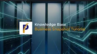 Business Snapshot Tutorial -  Knowledge Base