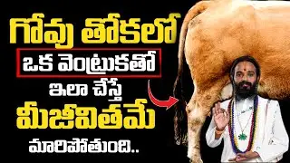ఆవు తోకలో నుండి ఒక్క వెంట్రుకతో ఇలా చేస్తే మీ జీవితం మారడం ఖాయం || Cow Tail Hair