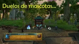 Duelos de mascotas #21 Torneo Celestial: Grupo 1 + Elekk