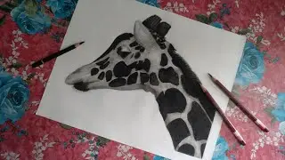 A Realistic giraffe drawing | Part - 2