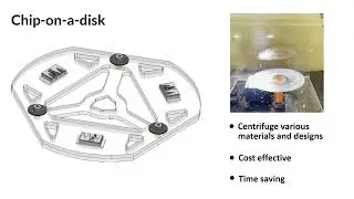 Flipping: A Valve-Free Strategy to Control Fluid Flow in Centrifugal Microfluidic Systems