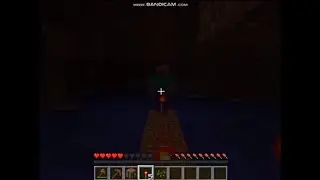 yranib.mov
