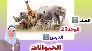 الدرس الثاني { الحيوانات }. الوحدة 2️⃣. العلوم للصف الخامس . الفصل الأول 