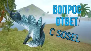 Вопрос - Ответ (2 часть)