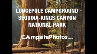 Sequoia & Kings Canyon National Park - Lodgepole Campground