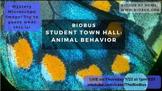 BioBus Student Town Hall: Animal Behavior