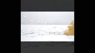 Suction vibrator