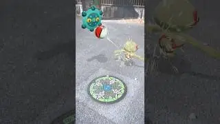 【Pok&eacute;mon】
