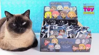 Harry Potter Collectors Keyrings Series 3 Full Set Unboxing Toy Review | PSToyReviews