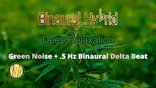 Green Noise +  .5 Hz Binaural Delta Wave Beat (Fade to Black Screen)