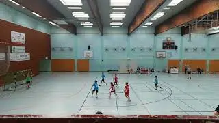 Handball E-Jugend Hessen.