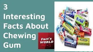 3 Interesting Facts About Chewing Gum | Fact's World
