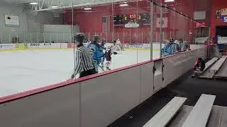 St. Louis Sting vs Chesterfield Falcons 16U CSDHL 1/29/2025