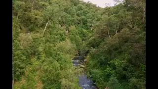 Mount Beauty Gorge Walk