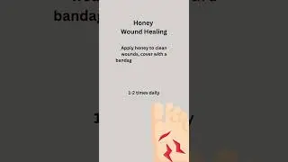 Healing with Honey: Natural Support for Wound Recovery