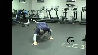 SpiderCrawl
