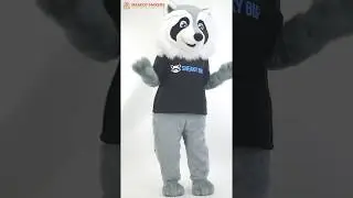 442564 Ralph raccoon mascot