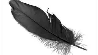 Black Feather by Daniel R. Hoggatt on the Native American Flute (c) 2018. Member Santee Sioux Nation
