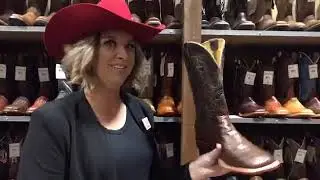American Horse Talk LIVE - Cavender's Hoover, AL