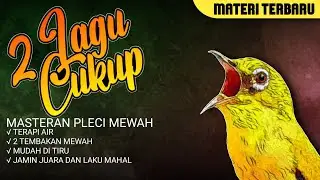 MASTERAN PLECI MEWAH MATERI DUA LAGU TEMBAKAN TERBARU 2024 #masteranpleci #masteranjuara