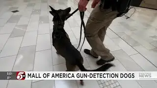 First gun-sniffing dog on the clock at Mall of America