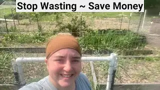 11 ZERO WASTE Gardening Tips On A Budget