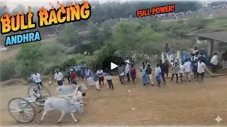 Bull racing in andhra #village boys