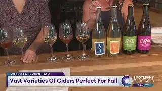 Vast Varieties Of Ciders Perfect For Fall With Webster's Wine Bar