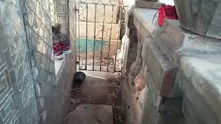 La  famosa tumba de la  dama de los espejos en el panteón de la leona en la colonia Carolina Mor.