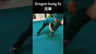 Dragon Kung fu lock joints technique for attacks and defense