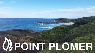 Point Plomer Campground - Limeburners Creek National Park, NSW
