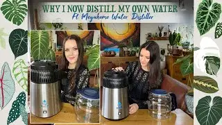 Eliminate Humidifier White Dust Residue & Mineral/Salt Build Up In Your Soil!💧💚🌿🌴🌱