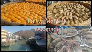 TAI O MARKET #dried fish,salted egg,tai o fishing village#