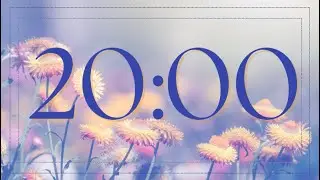 20-Minute Timer: Gorgeous Orange  Daisy Flower Field Countdown