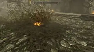 Orca DarkSight play's skyrim