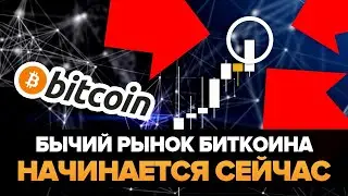 ОГРОМНЫЙ БИТКОИН БУЛЛРАН НАЧИНАЕТСЯ СЕЙЧАС...! (sunny decree)