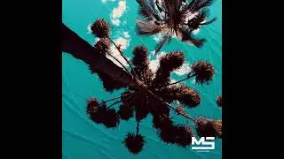 MSFI - Palm Fever