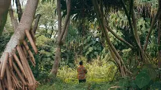 Share Aloha