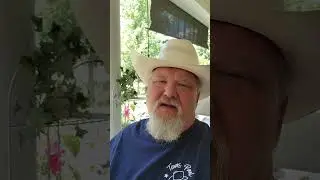 Hulk Hogan is dead.