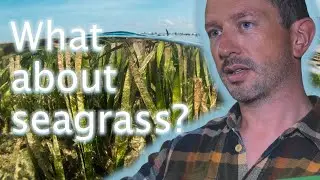 Becoming #GenerationRestoration: From underwater gardening to Seascape restoration Dr Richard Lilley